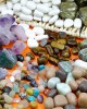 Stones / Minerals Treasure Basket