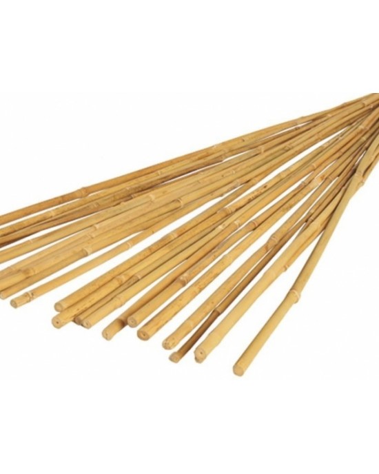 Bamboo Sticks (Set of 20)