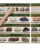 Identifying Rocks and Minerals Bulletin Board Set 8+
