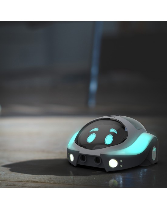 Loti-Bot Programmable Floor Robot (4 pack)