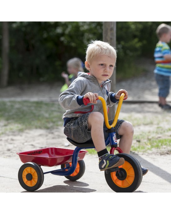 Tricycle With Tray (2-4 Years)