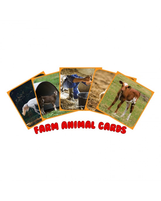 Buzzing With Bee-Bot Grid Cards -  Farm Animals