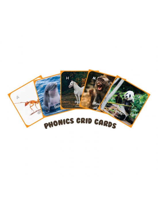Buzzing With Bee-Bot Grid Cards - Phonics