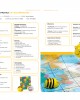 Buzzing With Bee-Bot Junior Infants Lesson Plan Book