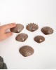 Eco-Friendly Tactile Shells - Pk36